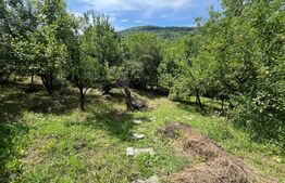 Teren intravilan 11,68 ari – priveliște superbă spre vale, aproape de oraș!