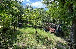 Teren intravilan 11,68 ari – priveliște superbă spre vale, aproape de oraș!