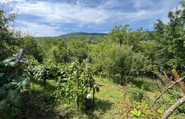 Teren intravilan 11,68 ari – priveliște superbă spre vale, aproape de oraș!