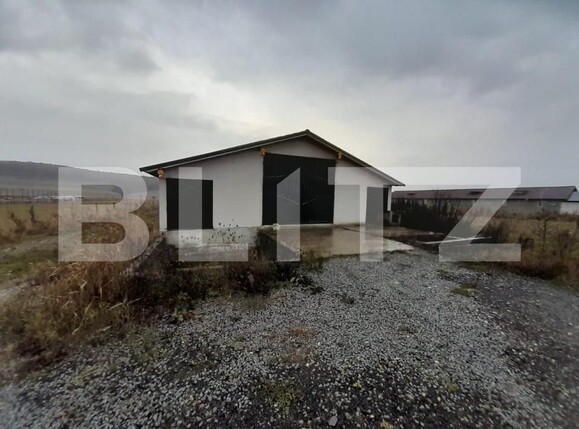 Spațiu industrial de vânzare Nord-Est - 201157SVI | BLITZ Bistriţa | Poza6