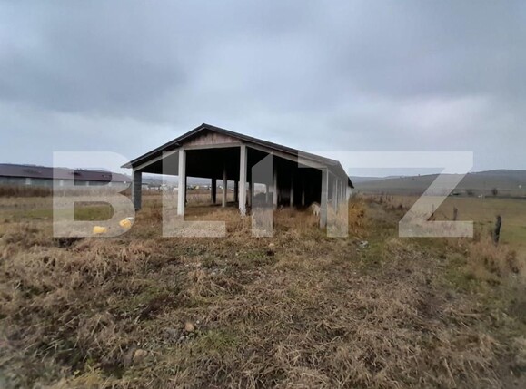 Spațiu industrial de vânzare Nord-Est - 201157SVI | BLITZ Bistriţa | Poza5