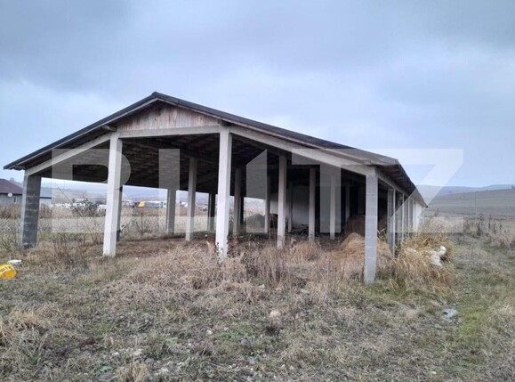 Spațiu industrial de vânzare Nord-Est - 201157SVI | BLITZ Bistriţa | Poza4