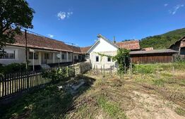  Casă cu teren de 5.049 mp și anexe, Galații Bistriței