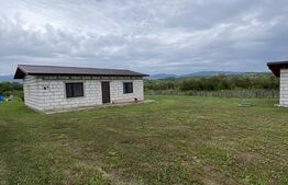 Casa de vanzare, 15 arii de teren, 15 minute de Bistrita