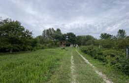 Casa de vanzare, 15 arii de teren, zona Dumitra