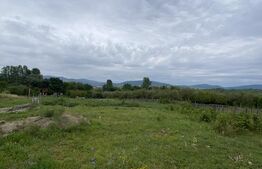Teren de vanzare, 44000 mp(44 arii), parcelabil