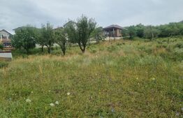Teren 700 mp cu priveliște spre oraș, disponibil și parcelat, Bistrita
