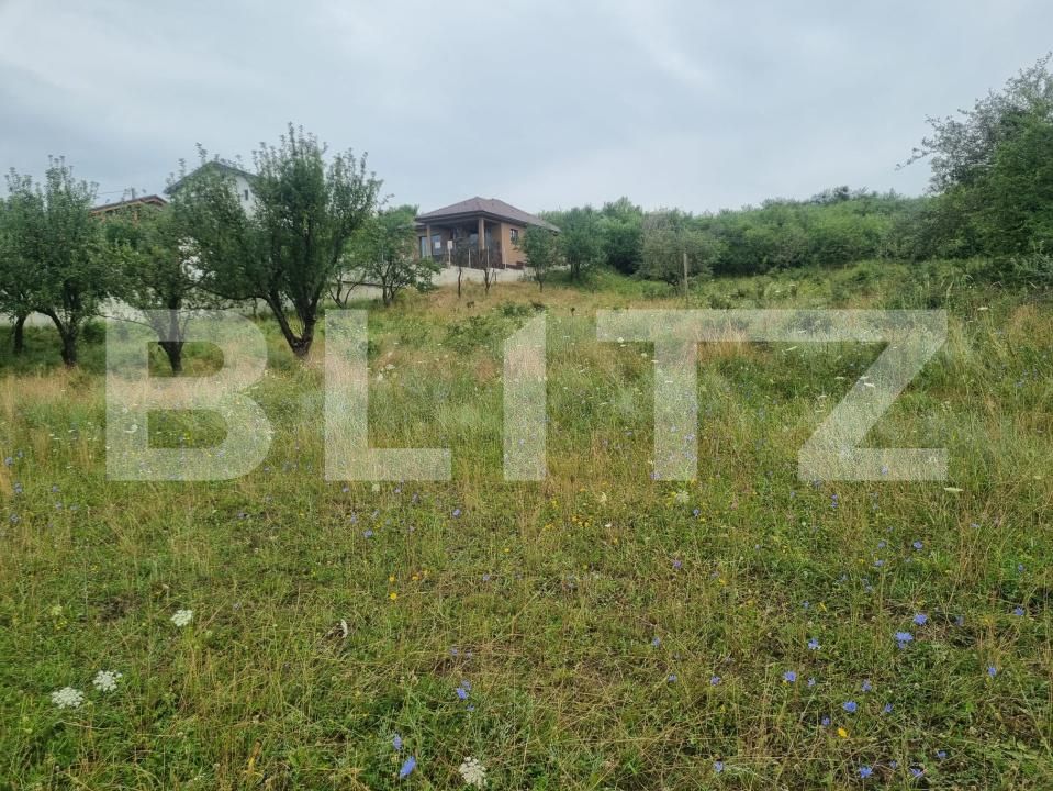 Teren de vânzare Sud-Vest - 201272TV | BLITZ Bistriţa | Poza12