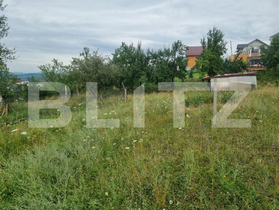 Teren de vânzare Sud-Vest - 201272TV | BLITZ Bistriţa | Poza13