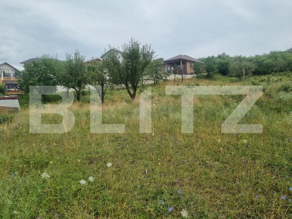 Teren de vânzare Sud-Vest - 201272TV | BLITZ Bistriţa | Poza2