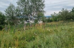 Teren 500 mp cu priveliște spre oraș, disponibil și parcelat, Bistrita