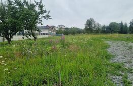 Teren 500 mp cu priveliște spre oraș, disponibil și parcelat, Bistrita