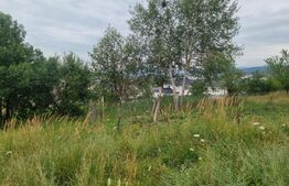 Teren 4.000 mp cu priveliște spre oraș, zonă liniștită, disponibil și parcelat
