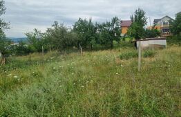 Teren 4.000 mp cu priveliște spre oraș, zonă liniștită, disponibil și parcelat