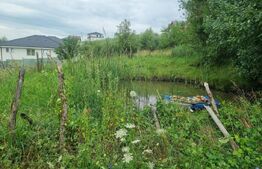 Teren 4.000 mp cu priveliște spre oraș, zonă liniștită, disponibil și parcelat