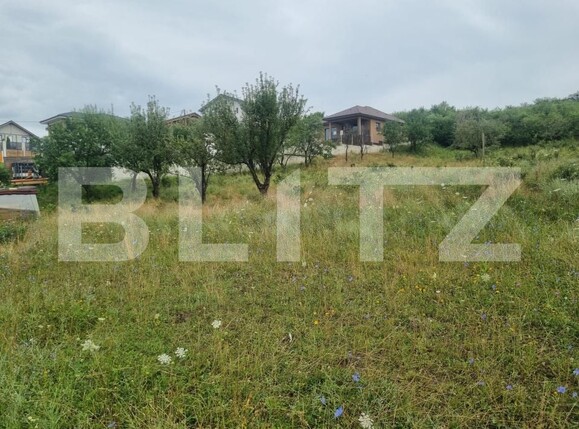 Teren de vânzare Sud-Vest - 201274TV | BLITZ Bistriţa | Poza15
