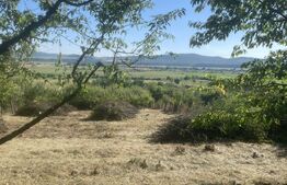 Vanzare Teren 4.361mp cu casă P+Mansardă, Cristur-Șieu, Bistrița-Năsăud