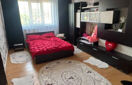 Apartament 2 camere de vanzare