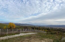 Casa de vanzare , zona Uriu, teren de 30 arii