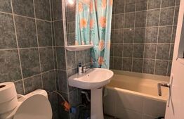Apartament de vanzare 2 camere, 45 mp, mobilat si utilat,  Bd. Decebal