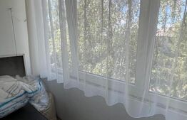 Apartament de vanzare 2 camere, 45 mp, mobilat si utilat,  Bd. Decebal