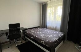Apartament de vanzare 2 camere, 45 mp, mobilat si utilat,  Bd. Decebal