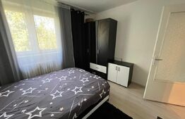 Apartament de vanzare 2 camere, 45 mp, mobilat si utilat,  Bd. Decebal