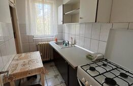 Apartament de vanzare 2 camere, 45 mp, mobilat si utilat,  Bd. Decebal