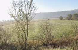 Teren extravilan de vanzare, 1 hectar, zona Monariu