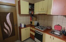 Garsonieră  de vânzare, ideală pentru locuit sau investitie, zona Gării