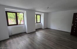 Apartament 1 camera, B-dul Independentei 