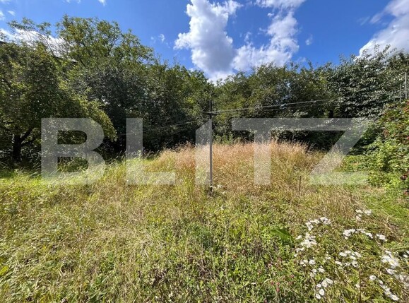 Casa de vânzare 3 camere Central - 201730CV | BLITZ Bistriţa | Poza5