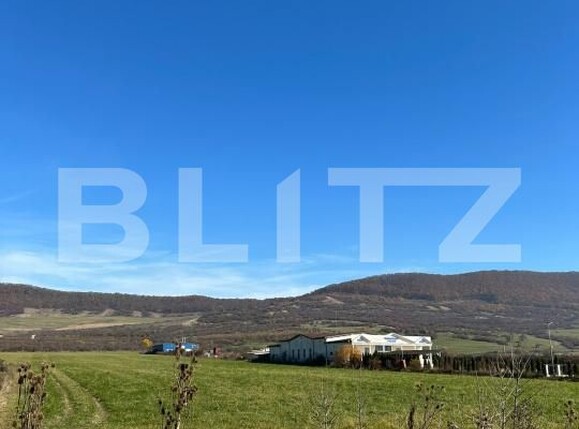 Teren de vânzare Exterior Sud - 201735TV | BLITZ Bistriţa | Poza3