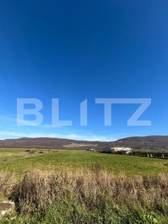 Teren de vânzare Exterior Sud - 201735TV | BLITZ Bistriţa | Poza5