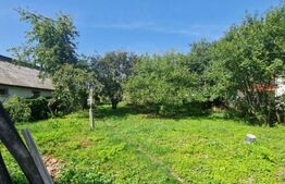 Casă cu teren în Uriu – renovată, curte, grădină și teren arabil