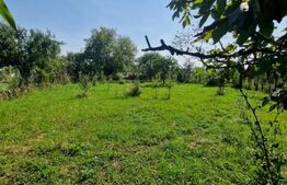 Casă cu teren în Uriu – renovată, curte, grădină și teren arabil