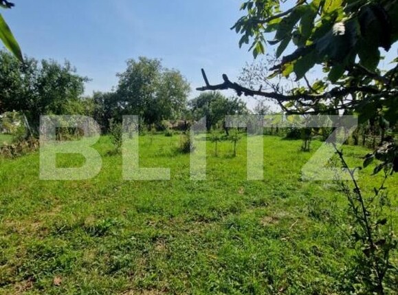 Casa de vânzare 2 camere Uriu - 201771CV | BLITZ Bistriţa | Poza6