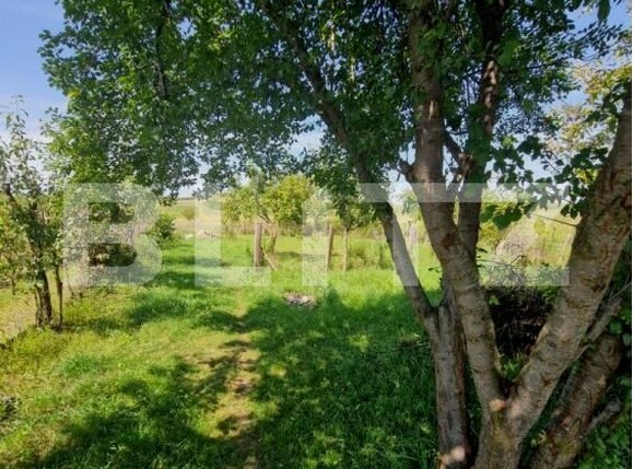 Casa de vânzare 2 camere Uriu - 201771CV | BLITZ Bistriţa | Poza7