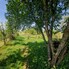 Casa de vânzare 2 camere Uriu - 201771CV - Poza 1 din 9 | BLITZ Bistriţa | Poza7