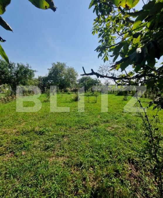 Casa de vânzare 2 camere Uriu - 201771CV | BLITZ Bistriţa | Poza6