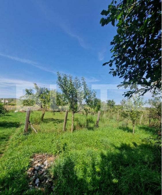 Casa de vânzare 2 camere Uriu - 201771CV | BLITZ Bistriţa | Poza8
