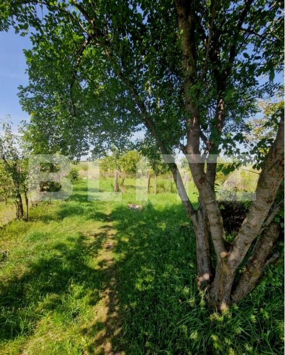 Casa de vânzare 2 camere Uriu - 201771CV | BLITZ Bistriţa | Poza7