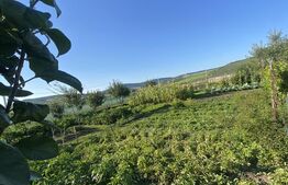 Teren de vanzare, 8 arii la 10 minute de Bistrita 
