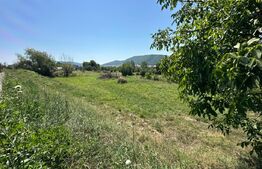 Teren Intravilan, 1400 mp, zona Crainimat