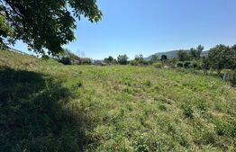 Teren Intravilan, 1400 mp, zona Crainimat