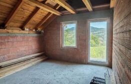 Casa 4 camere, 240 mp, teren 4000 mp, zona Pinticu