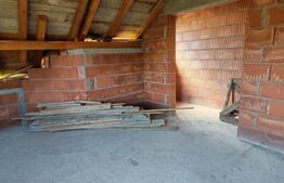 Casa 4 camere, 240 mp, teren 4000 mp, zona Pinticu