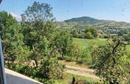 Casa 4 camere, 240 mp, teren 4000 mp, zona Pinticu