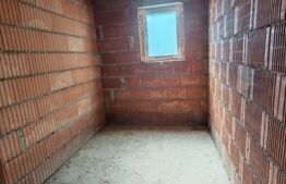 Casa 4 camere, 240 mp, teren 4000 mp, zona Pinticu