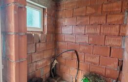 Casa 4 camere, 240 mp, teren 4000 mp, zona Pinticu